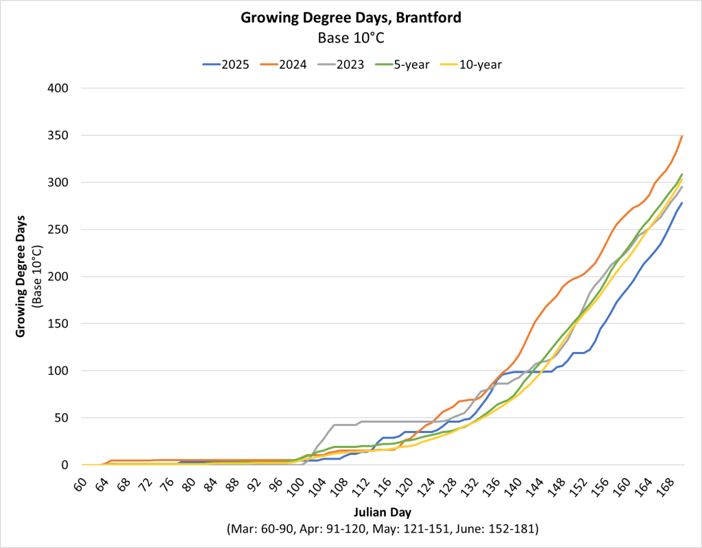 Graph showing growing degree day accumulation as base temperature of 10 degrees Celsius at Brantford Ontario. 2025 is below 5- and 10-year averages.